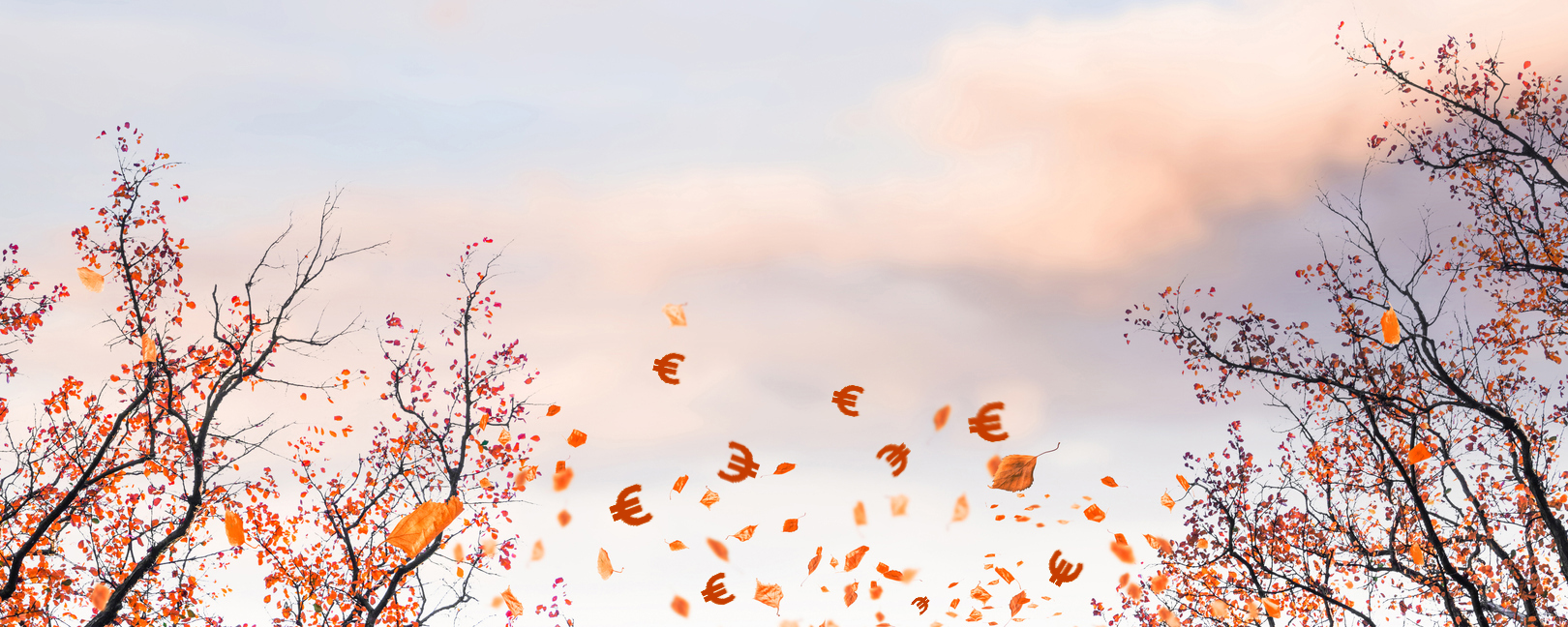 Herbst bearbeitet 4